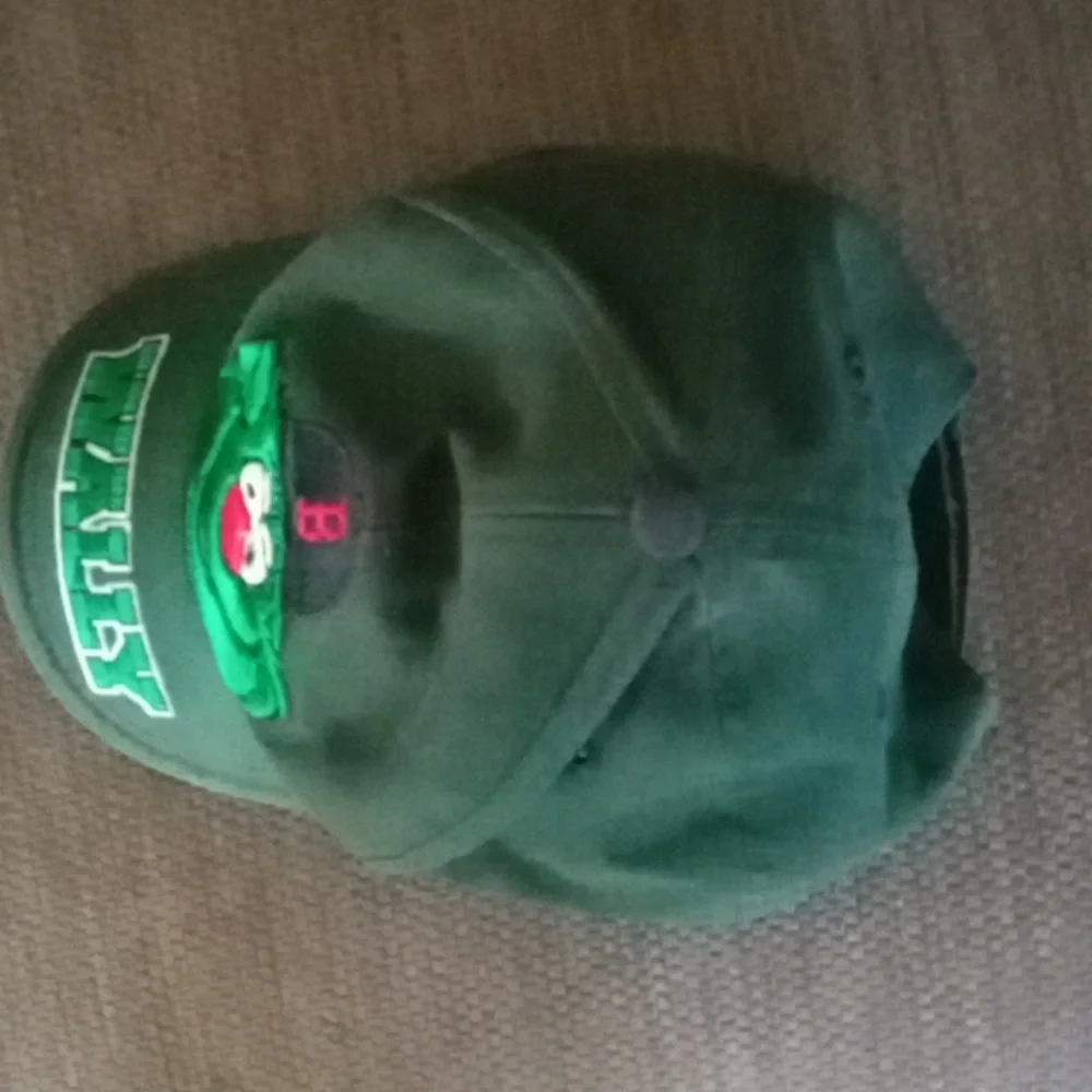 Boston Red Sox Wally the Green Monster Childs Baseball Hat Fenway RARE